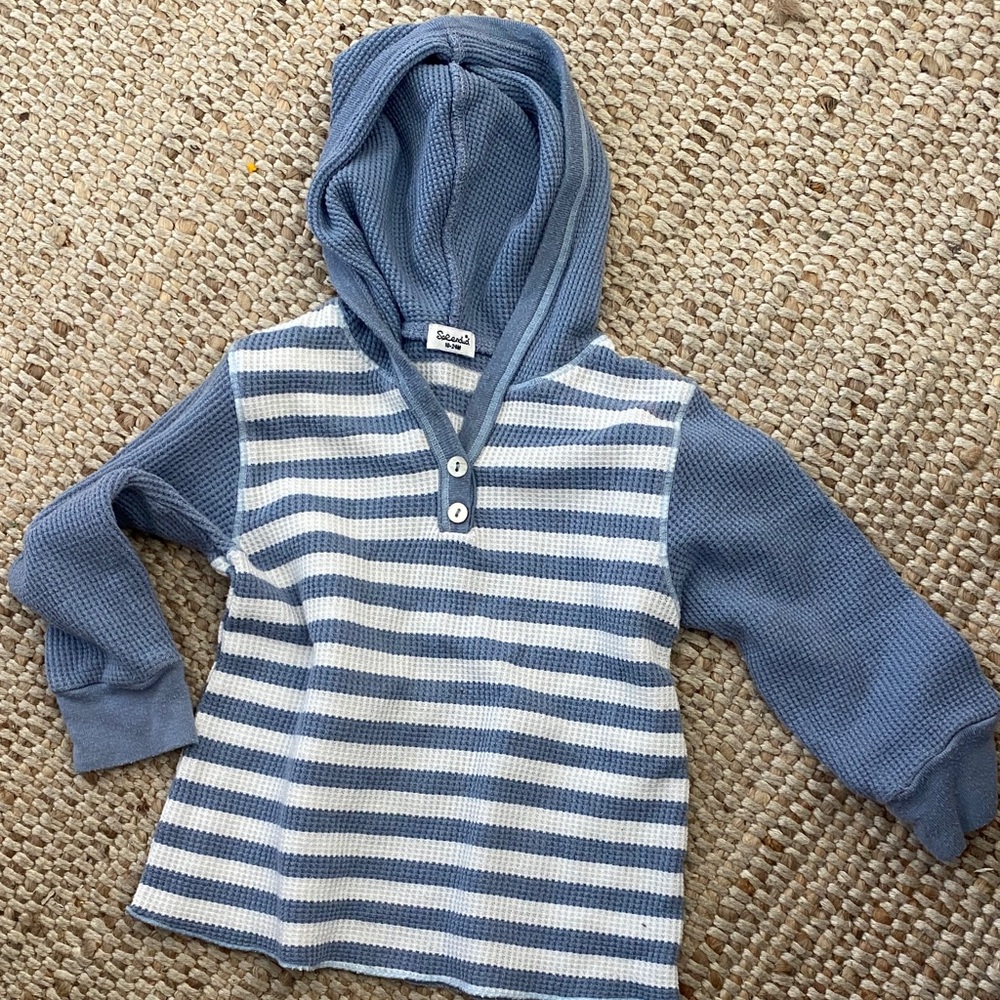 Splendid Hoodie